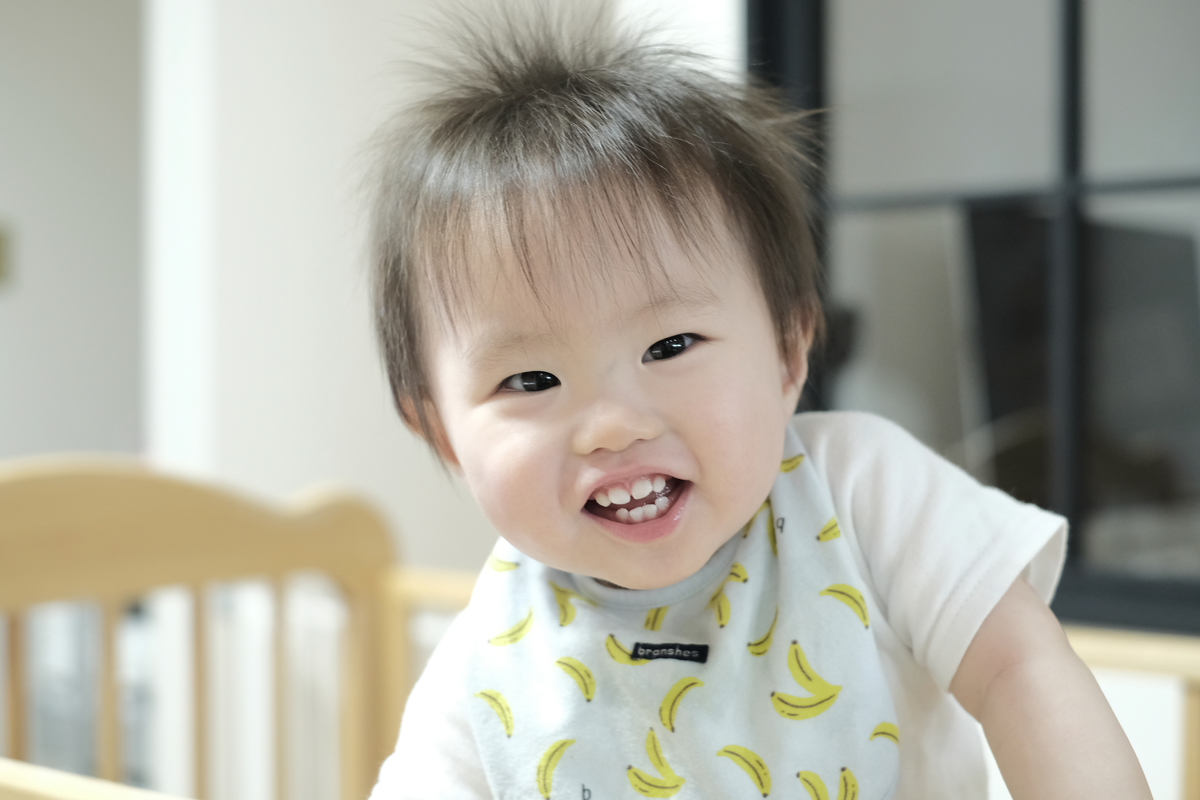 f:id:mame_mofu:20190715151239j:plain