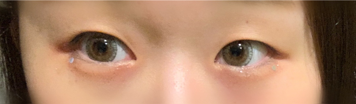 f:id:mame_x_31:20190927172939j:image