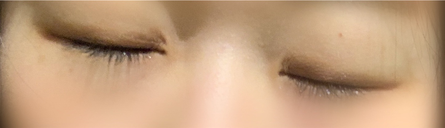 f:id:mame_x_31:20190927172943j:image