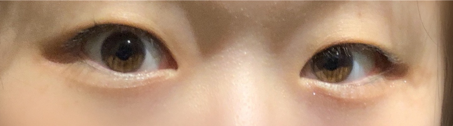 f:id:mame_x_31:20190927172946j:image