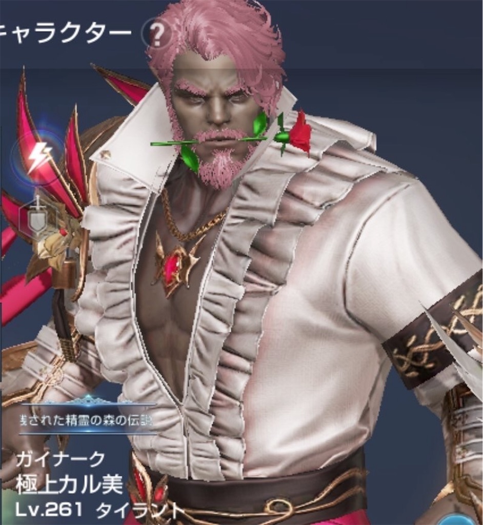 f:id:mamechicbi:20190225151244j:image