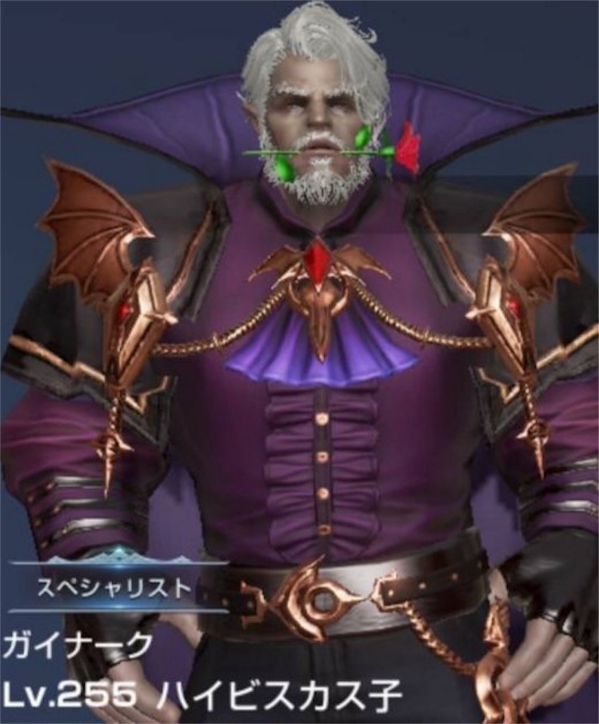 f:id:mamechicbi:20190225175821j:image