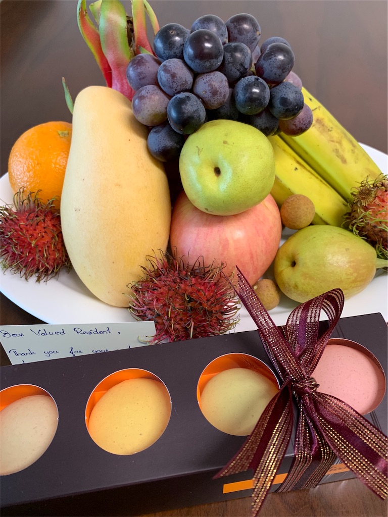 f:id:mamechike:20190508145856j:image