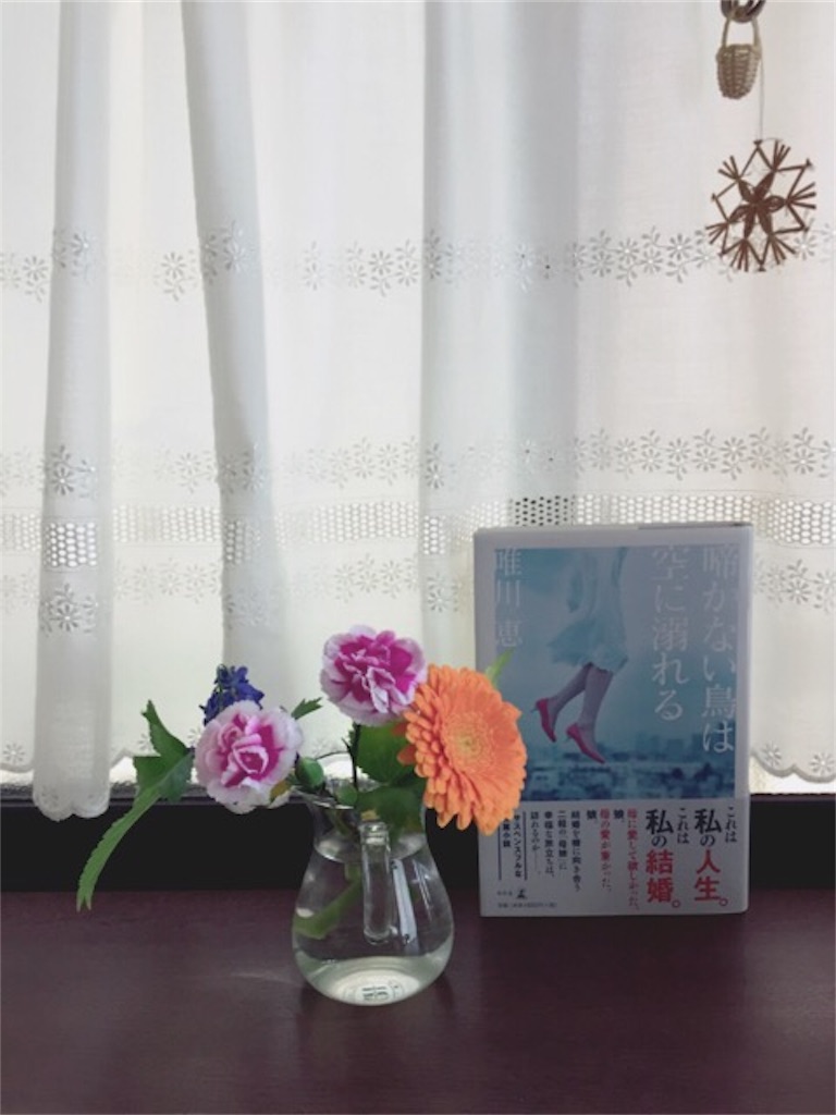 f:id:mameco724:20170708111305j:image