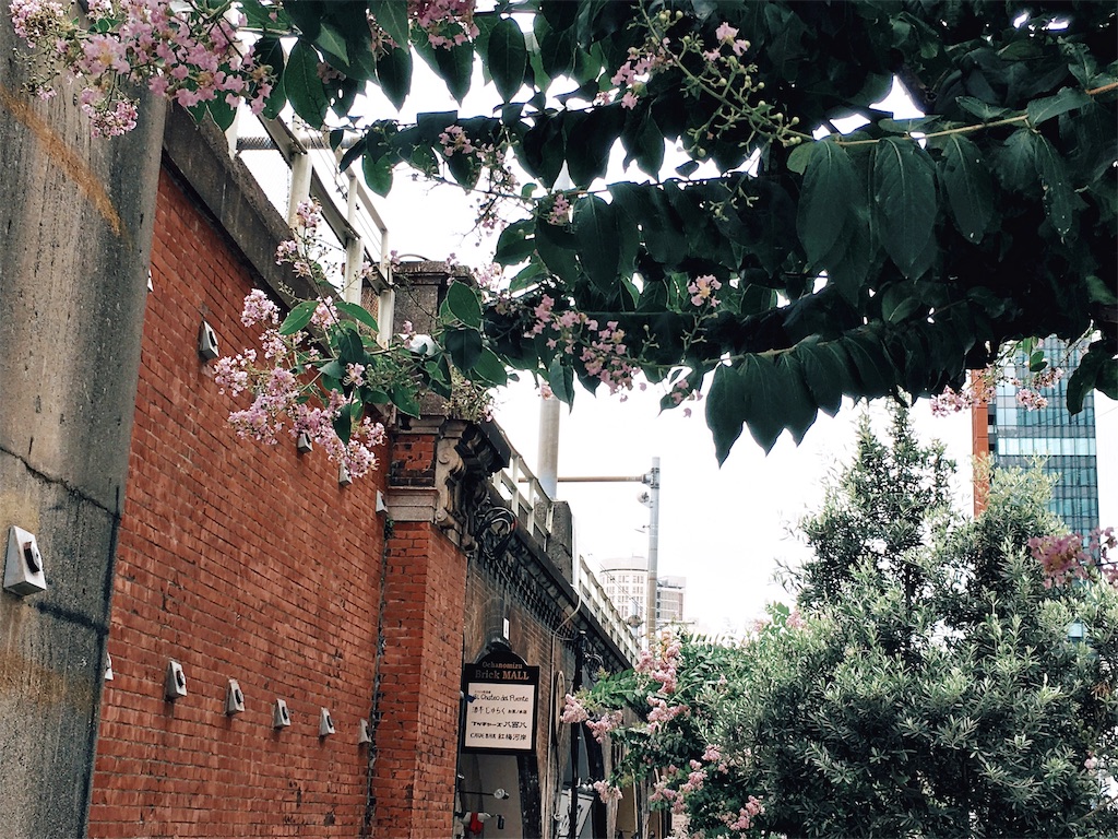 f:id:mameco98:20190201001817j:image f:id:mameco98:20190201001817j:image