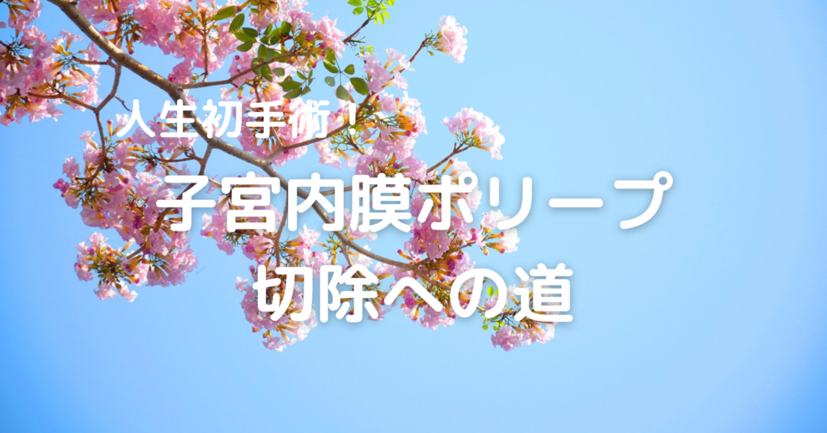 f:id:mameco98:20210303133346p:plain