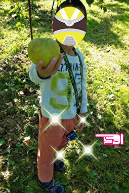 f:id:mamecon:20201112133758j:plain f:id:mamecon:20201112133758j:plain