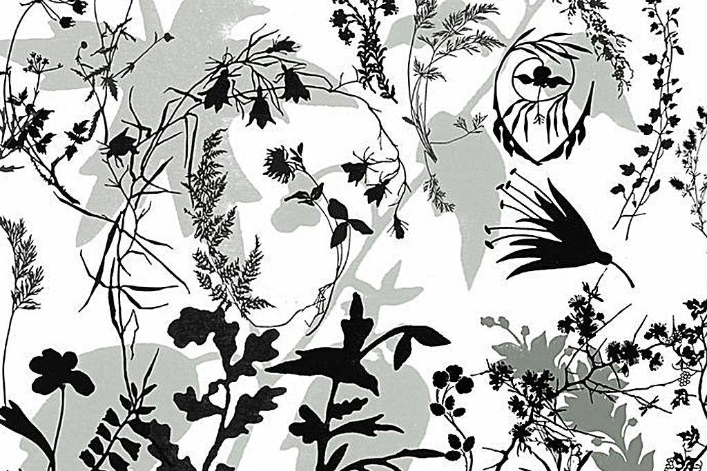 無料 商用可 草や葉っぱ ツタなどに特化したphotoshop用植物系ブラシ50種 自然 フリー 装飾 イラスト Webdesignfacts 無料 商用可 草や葉っぱ ツタなどに特化したphotoshop用植物系ブラシ50種 自然 フリー 装飾 イラスト Webdesignfacts