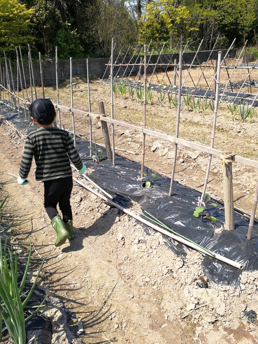 f:id:mameimokuri:20190505133412j:plain:w300 f:id:mameimokuri:20190505133412j:plain:w300
