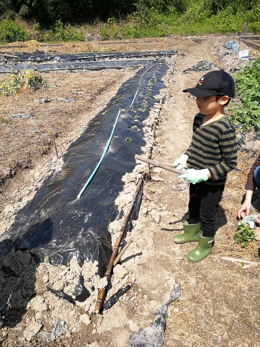 f:id:mameimokuri:20190505133437j:plain:w300 f:id:mameimokuri:20190505133437j:plain:w300
