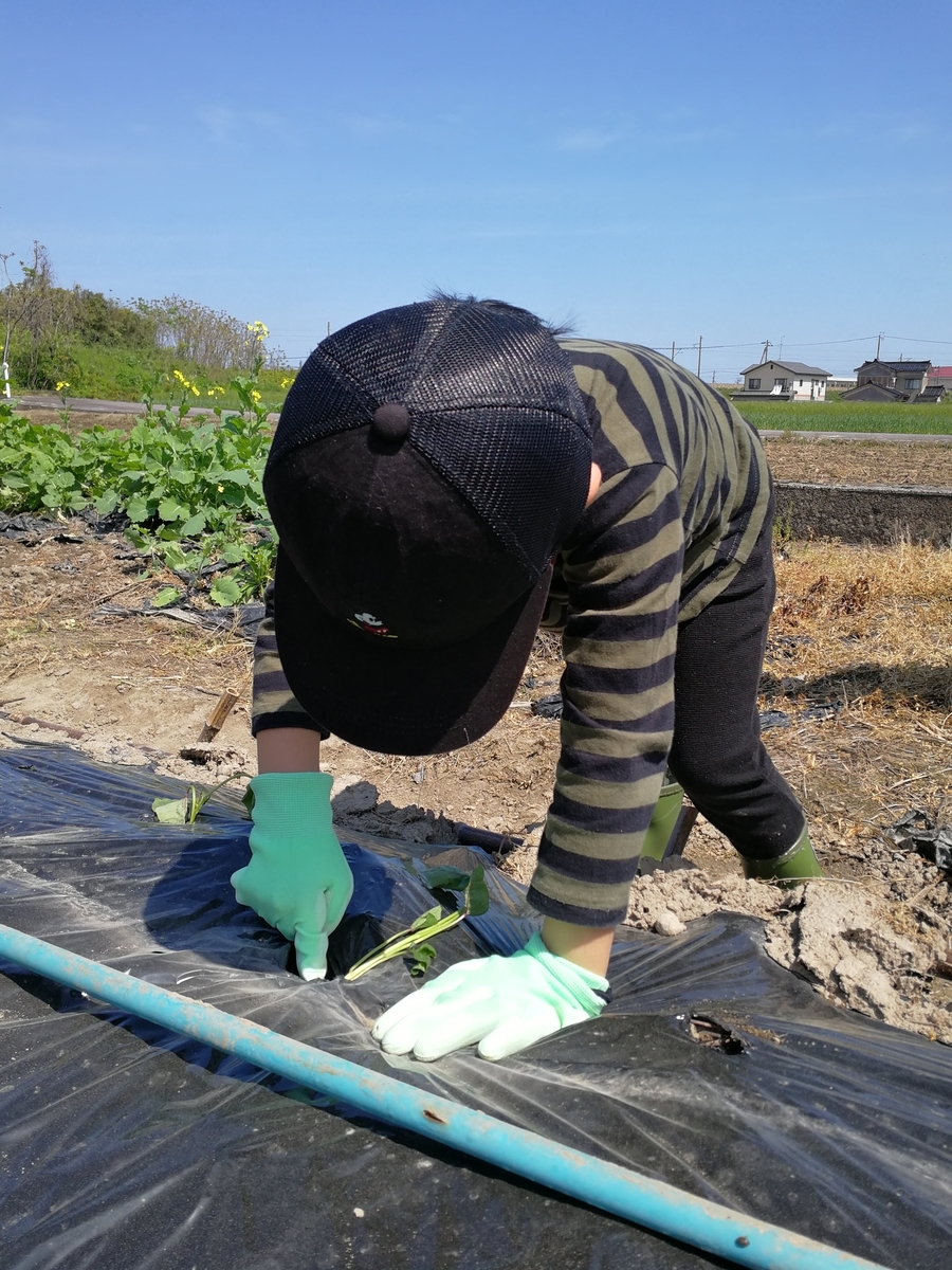 f:id:mameimokuri:20190505133528j:plain:w300 f:id:mameimokuri:20190505133528j:plain:w300