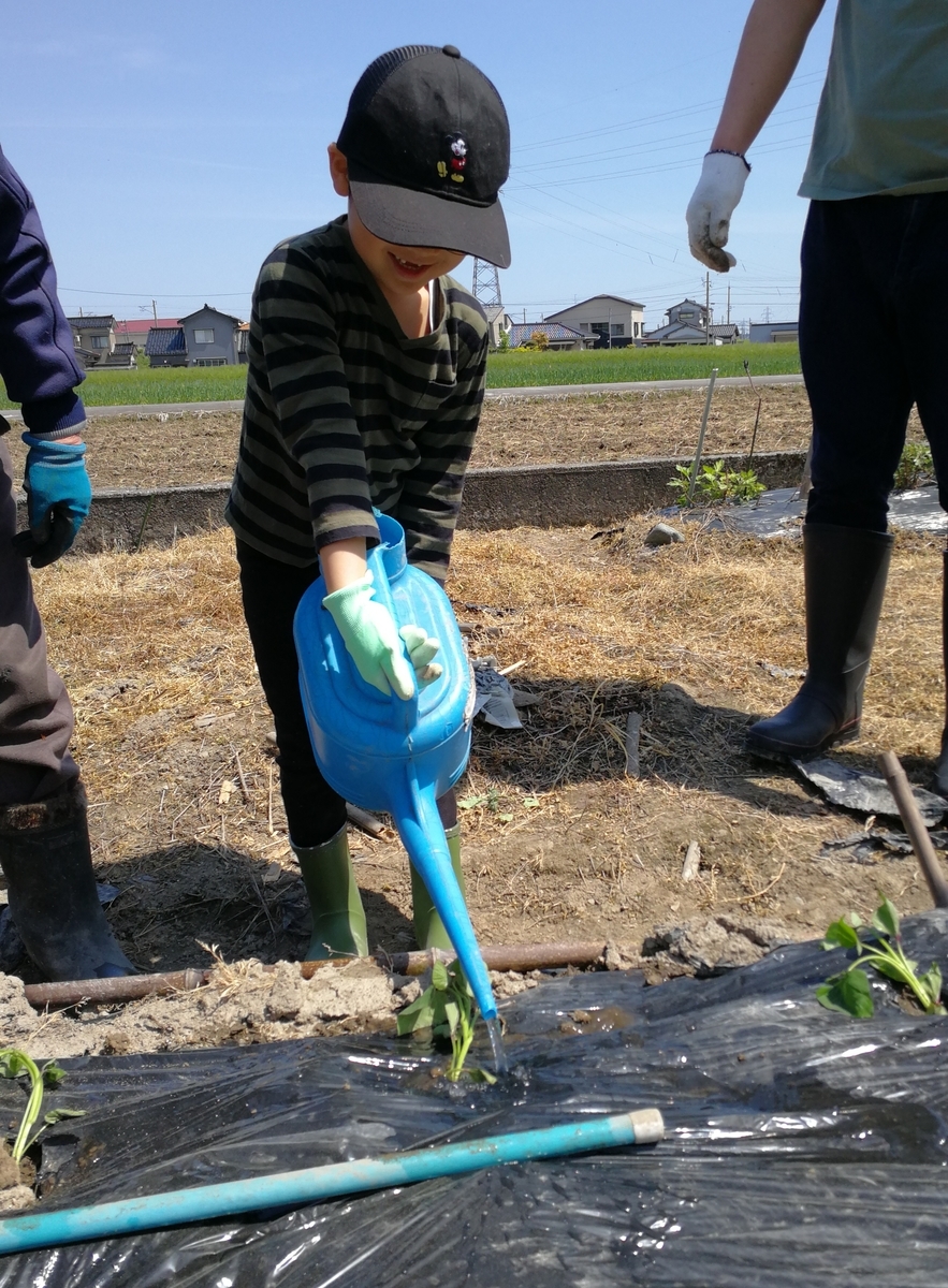 f:id:mameimokuri:20190506060221j:plain:w300 f:id:mameimokuri:20190506060221j:plain:w300