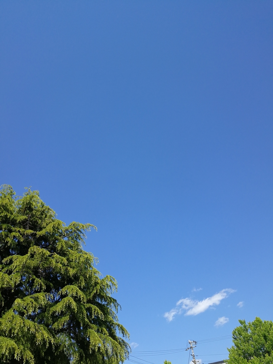 f:id:mameimokuri:20190507162102j:plain:w300 f:id:mameimokuri:20190507162102j:plain:w300