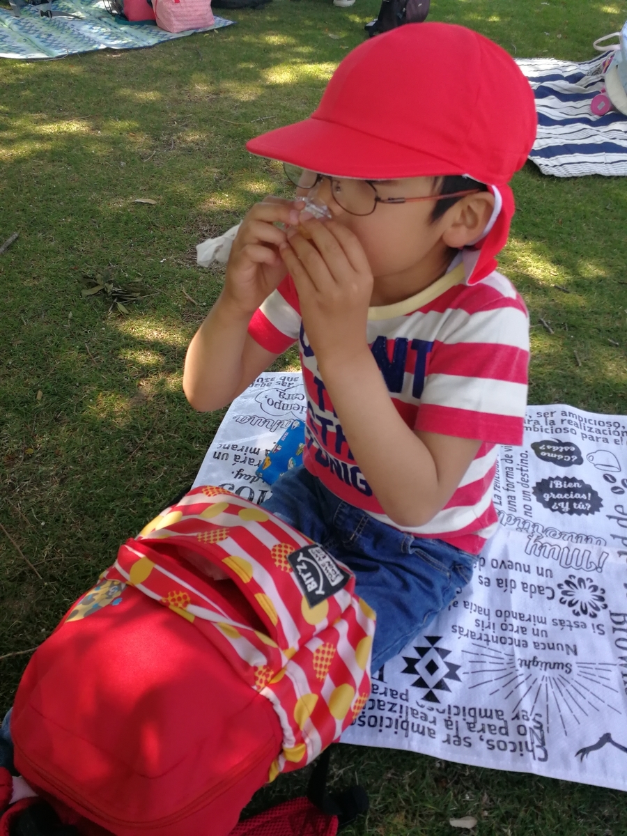 f:id:mameimokuri:20190516200146j:plain:w300 f:id:mameimokuri:20190516200146j:plain:w300