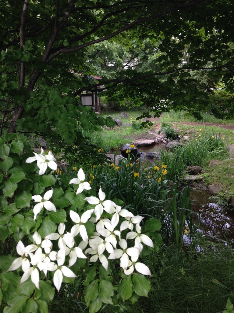 f:id:mameknits:20170608171821j:image