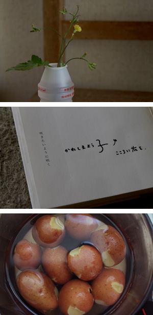 f:id:mameko3:20120418163320j:image:right