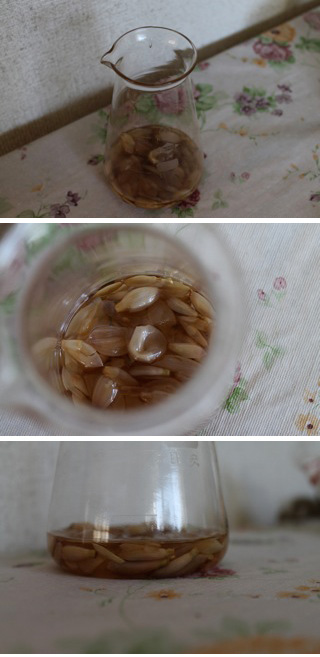 f:id:mameko3:20120608141701j:image:right f:id:mameko3:20120608141701j:image:right