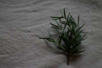 f:id:mameko3:20120621225539j:image:right f:id:mameko3:20120621225539j:image:right