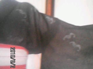 f:id:mamekomame:20100802110919j:image