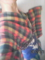 f:id:mamekomame:20120603165133j:image:medium