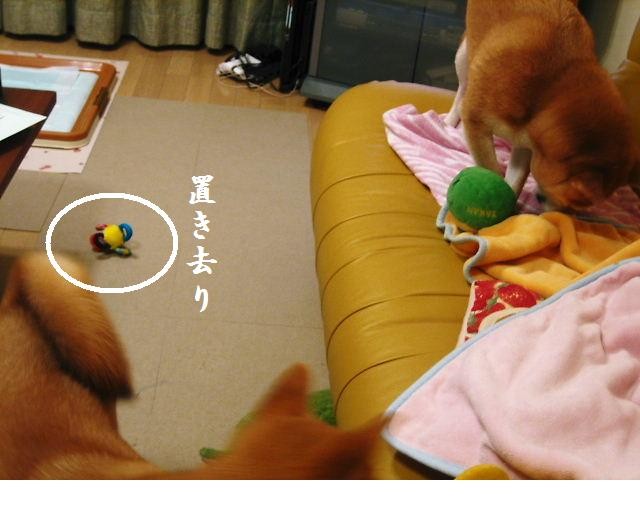 f:id:mamekonbu0410:20090301224933j:image