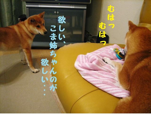 f:id:mamekonbu0410:20090301224934j:image