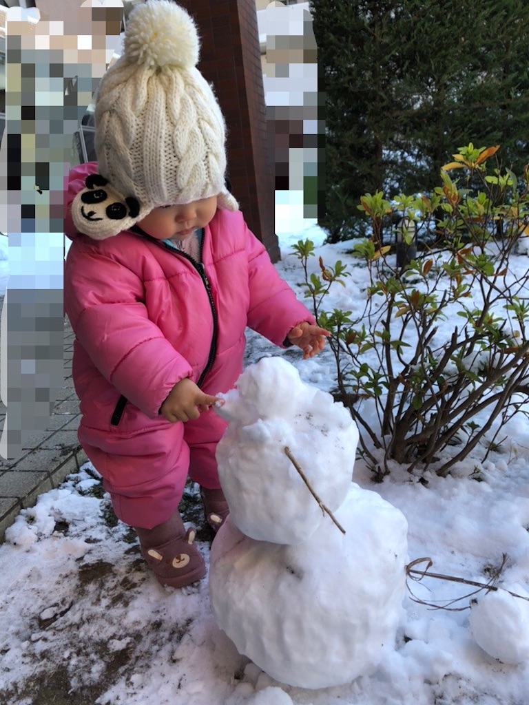 f:id:mamekonikki:20220121232404j:image f:id:mamekonikki:20220121232404j:image