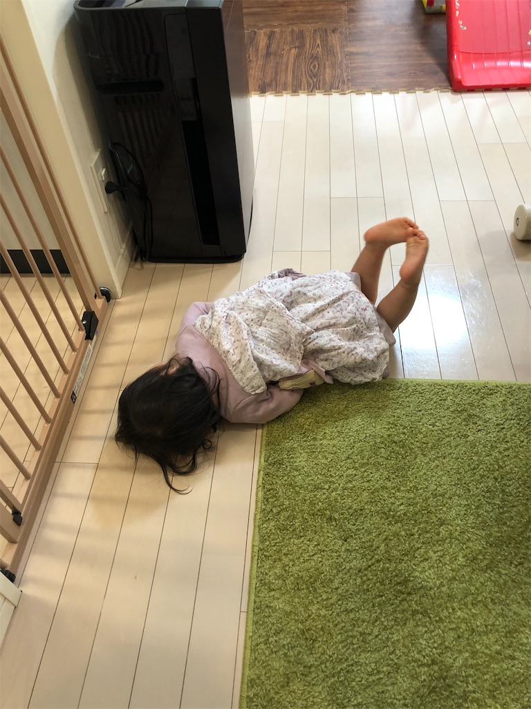 f:id:mamekonikki:20220628134823j:image f:id:mamekonikki:20220628134823j:image