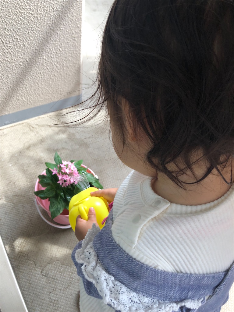 f:id:mamekonikki:20220725112710j:image f:id:mamekonikki:20220725112710j:image