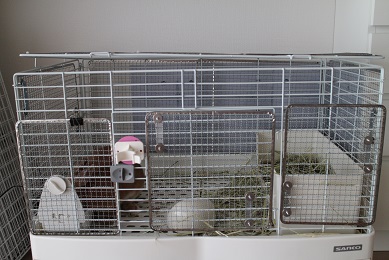 f:id:mamekousagi:20180702115459j:plain