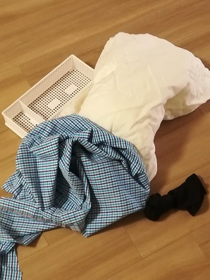 f:id:mamekousagi:20181012174532j:plain