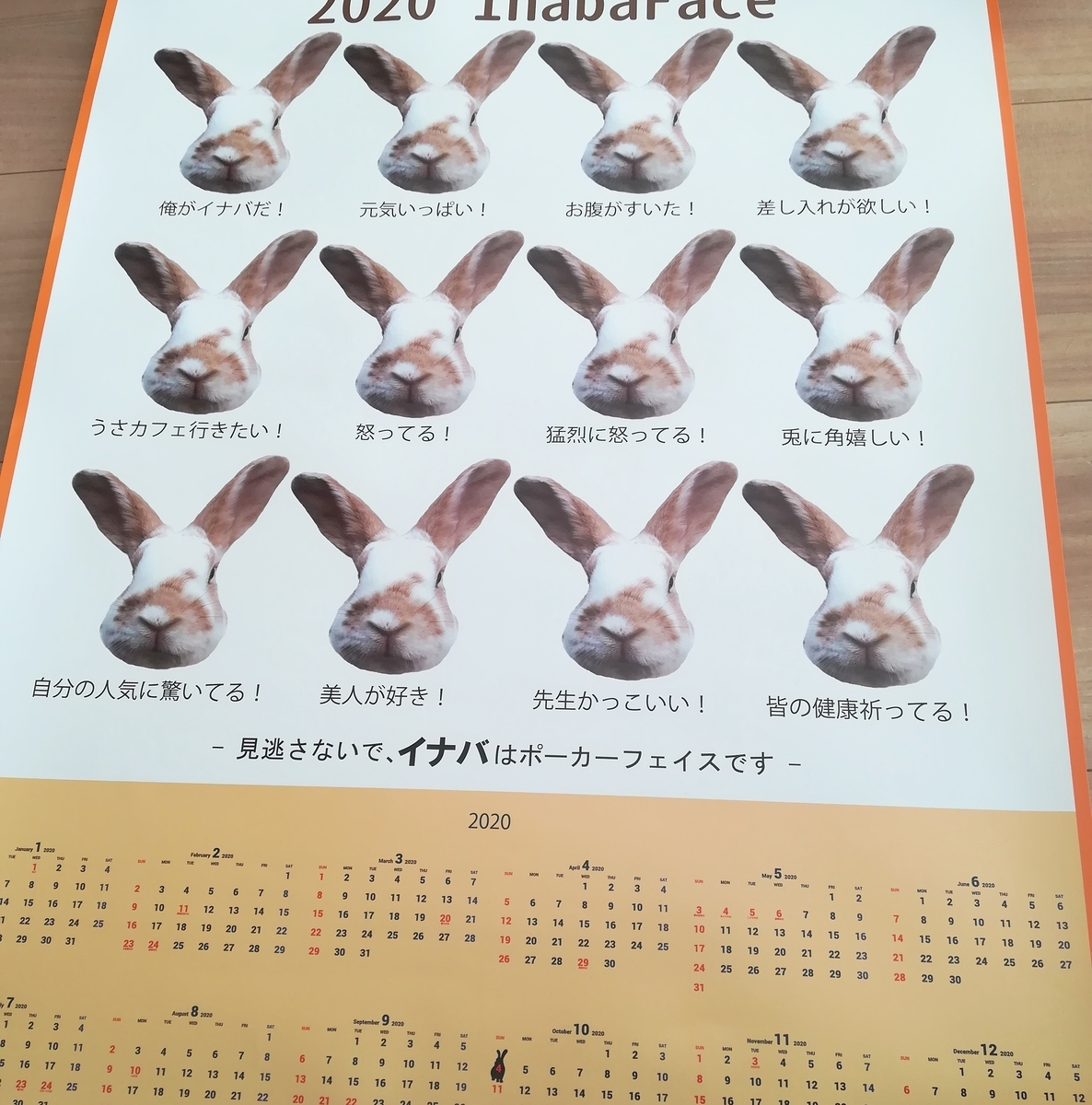f:id:mamekousagi:20191120141748j:plain