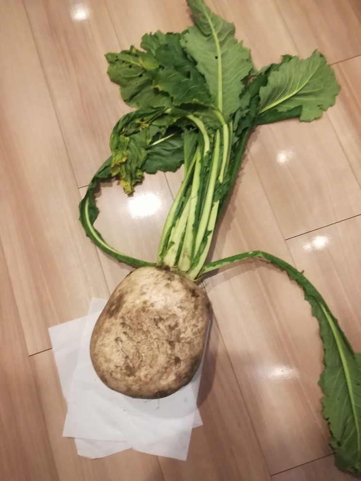 f:id:mamekousagi:20200121194912j:plain f:id:mamekousagi:20200121194912j:plain