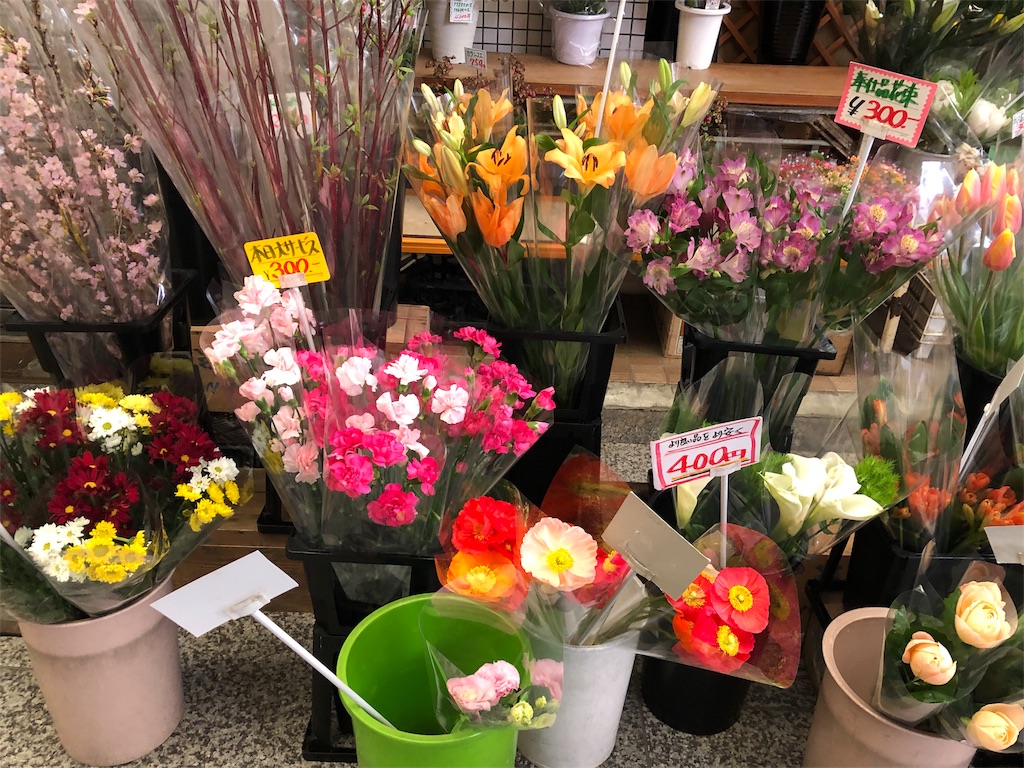 f:id:mameland:20180319164129j:image f:id:mameland:20180319164129j:image