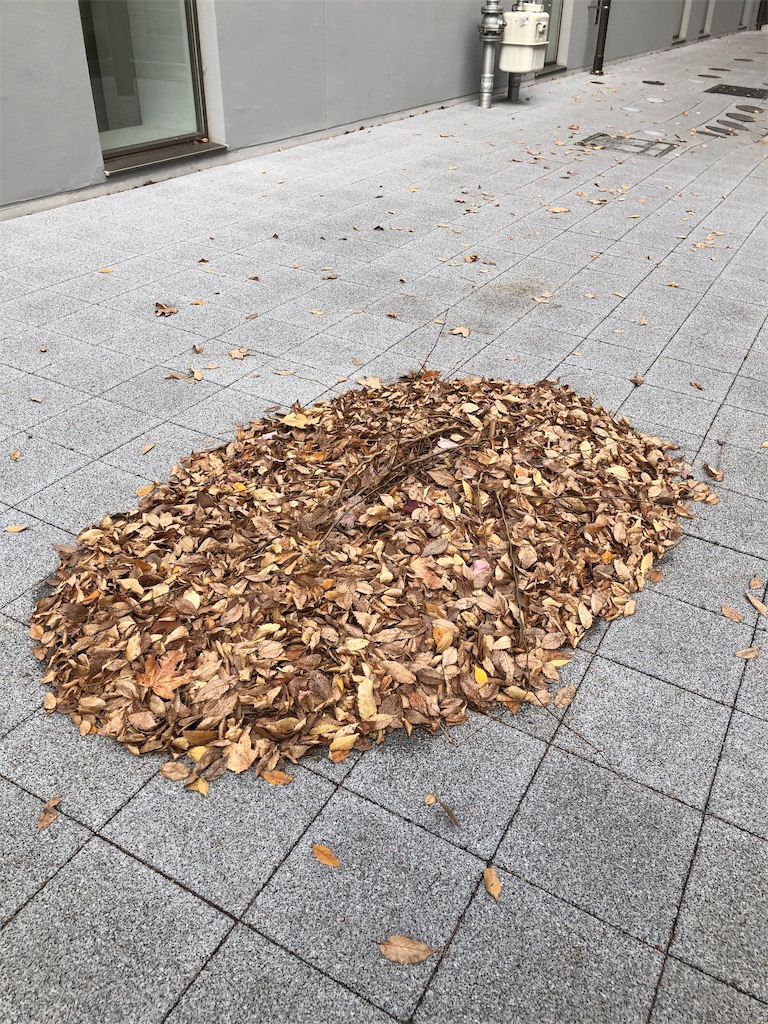 f:id:mameland:20181222225039j:image