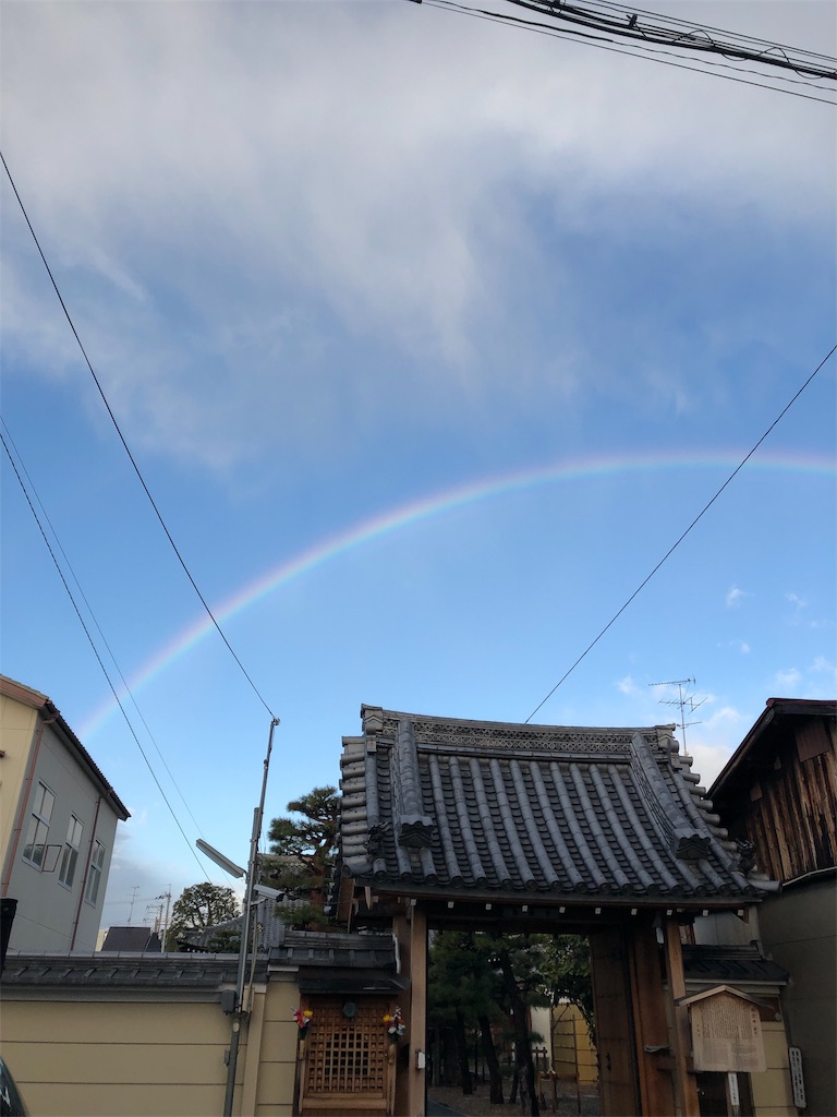 f:id:mameland:20190323094922j:image
