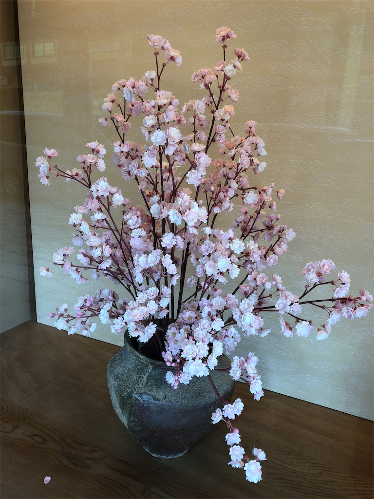 f:id:mameland:20190323094944j:image