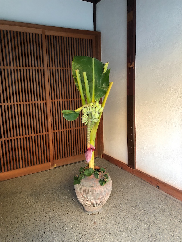 f:id:mameland:20191229100052j:image