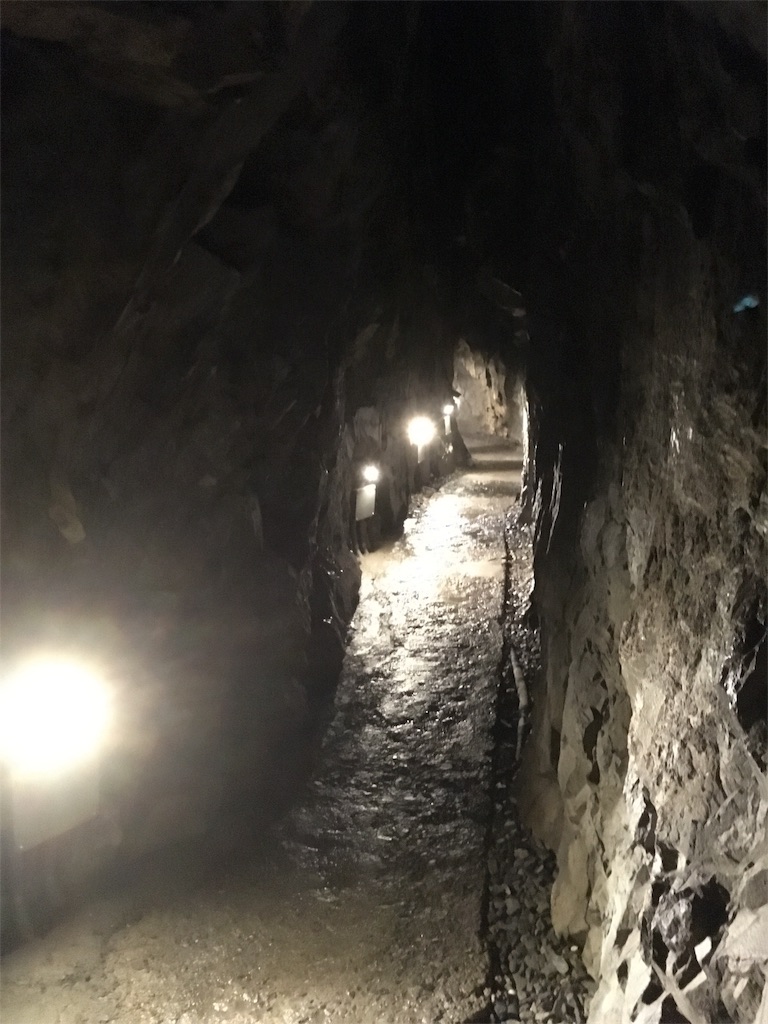 f:id:mamemame08:20180910185756j:image f:id:mamemame08:20180910185756j:image