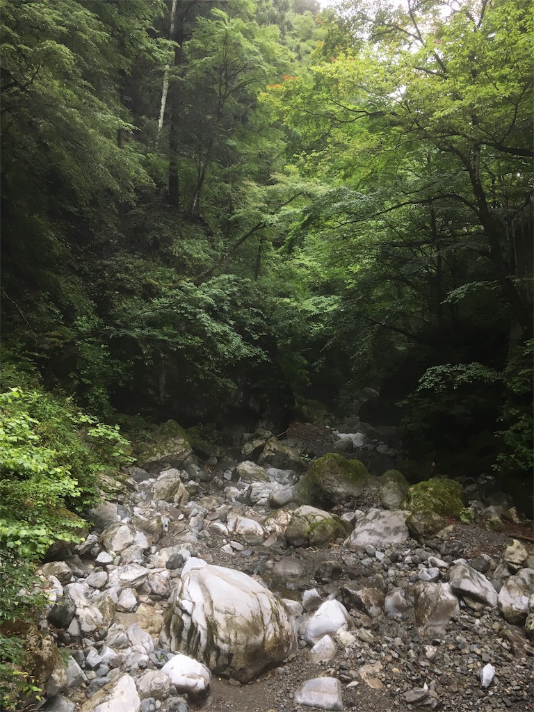 f:id:mamemame08:20180910185826j:image f:id:mamemame08:20180910185826j:image