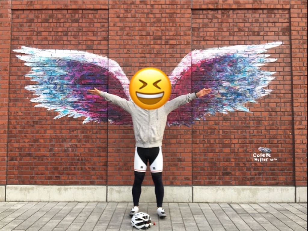 f:id:mamemame08:20181204231914j:image