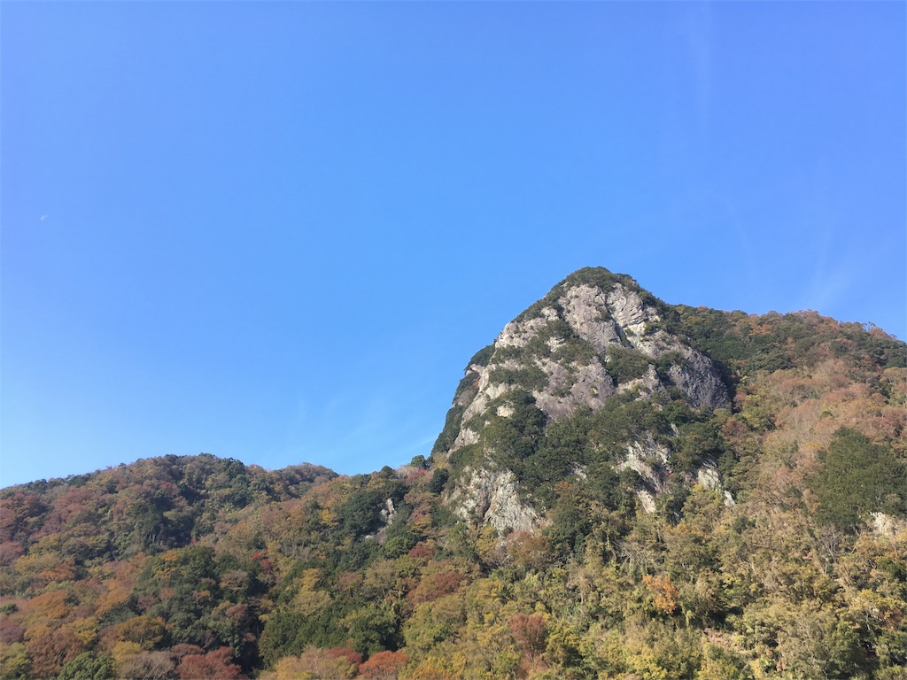 f:id:mamemame08:20181222230715j:image f:id:mamemame08:20181222230715j:image