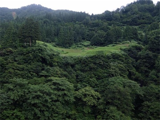 f:id:mamemame08:20190610233707j:image f:id:mamemame08:20190610233707j:image