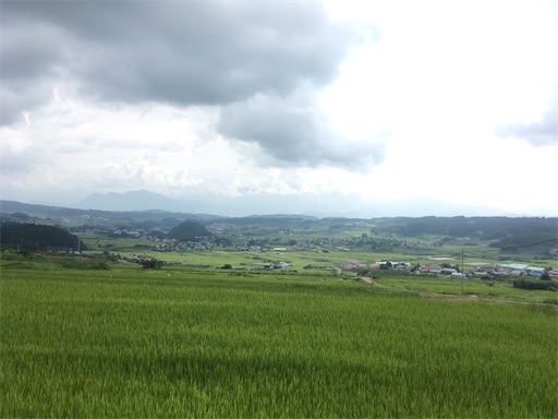 f:id:mamemame08:20220625205620j:image f:id:mamemame08:20220625205620j:image