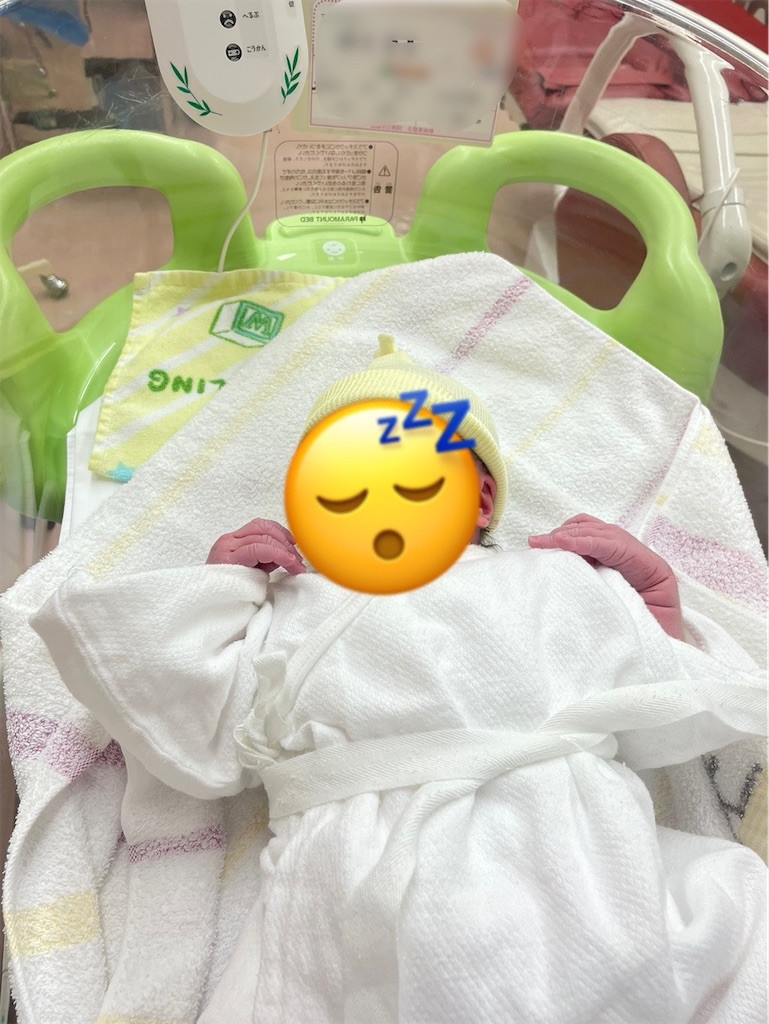 f:id:mamemame08:20230829205253j:image