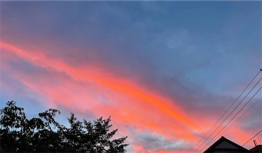 f:id:mamemame08:20240828105740j:image f:id:mamemame08:20240828105740j:image