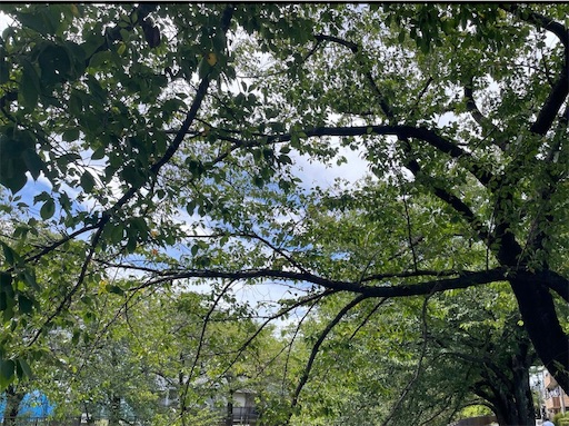 f:id:mamemame08:20240828110350j:image f:id:mamemame08:20240828110350j:image