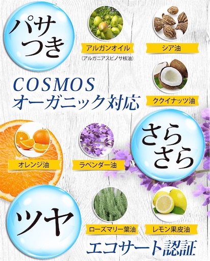 f:id:mamemame1965:20191217213259j:image