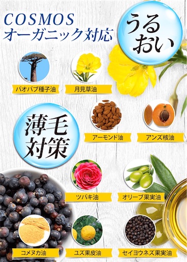 f:id:mamemame1965:20191217213348j:image