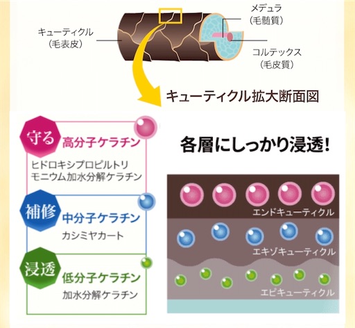 f:id:mamemame1965:20191217214245j:image